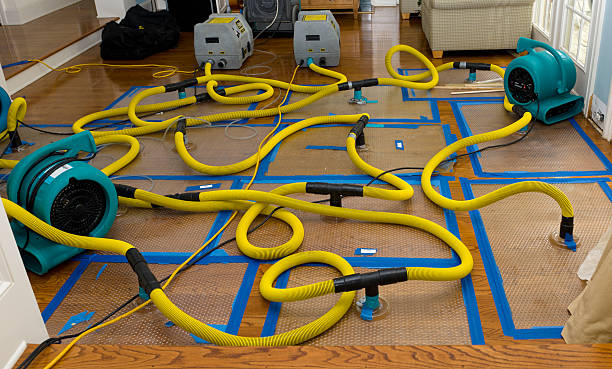Professional Basement Flood Cleanup technician working in Chapmansboro, TN
